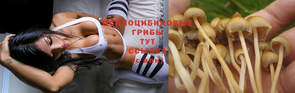 кокаин VHQ Алексеевка