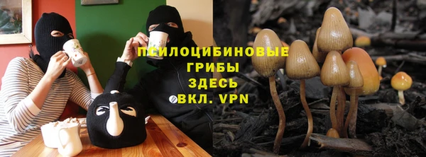 скорость Алексин