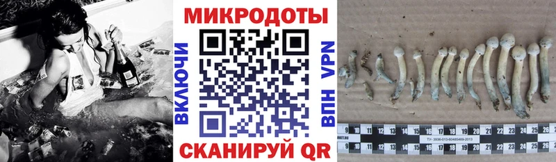 мега маркетплейс Архангельск Галлюциногенные грибы прущие грибы