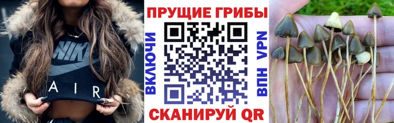 Псилоцибиновые грибы Cubensis Архангельск